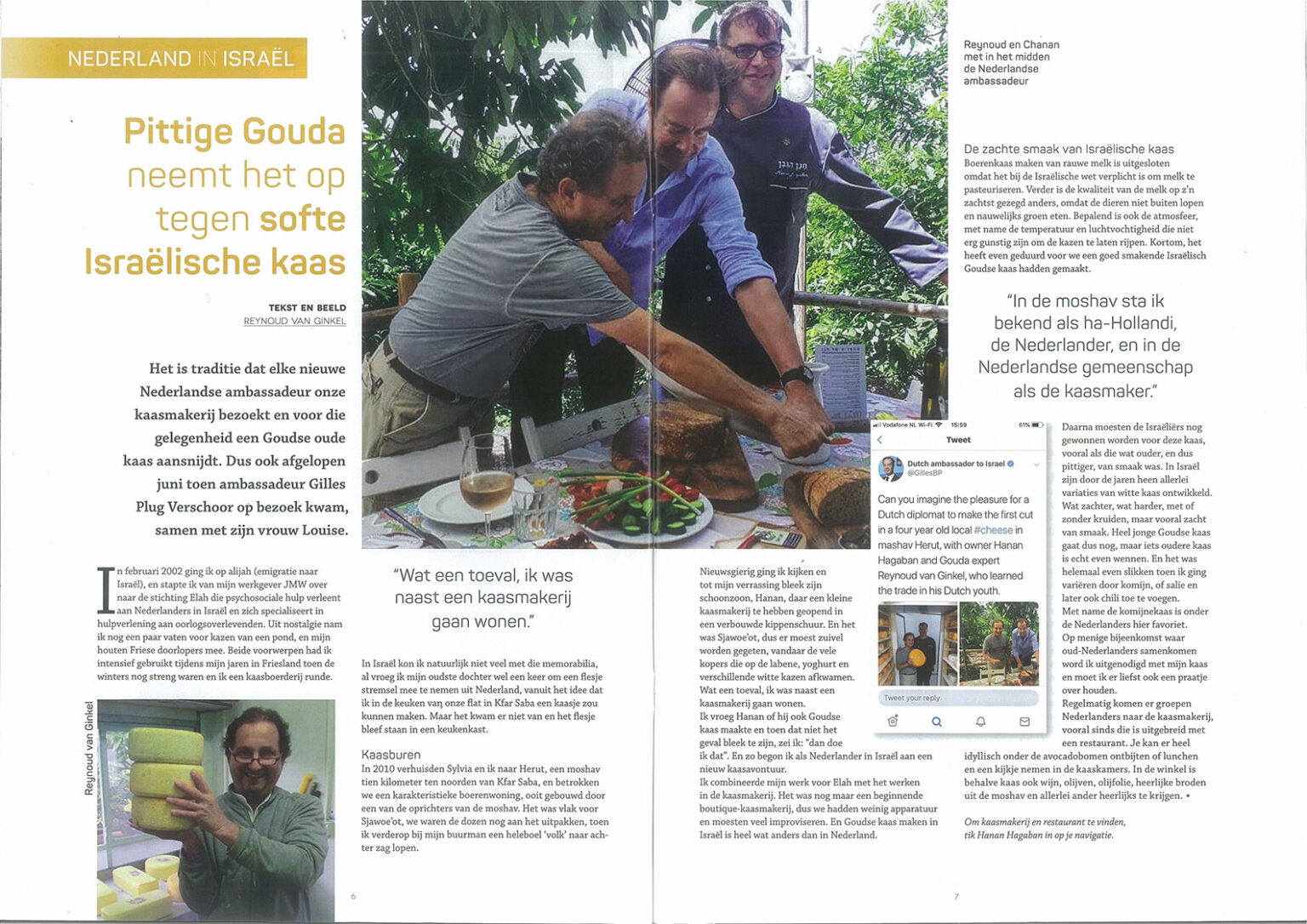 article-dutch